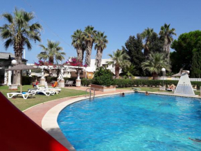 APCOSTAS - San Antonio, Alcossebre